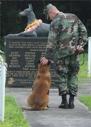 war-dog-memorial.jpg
